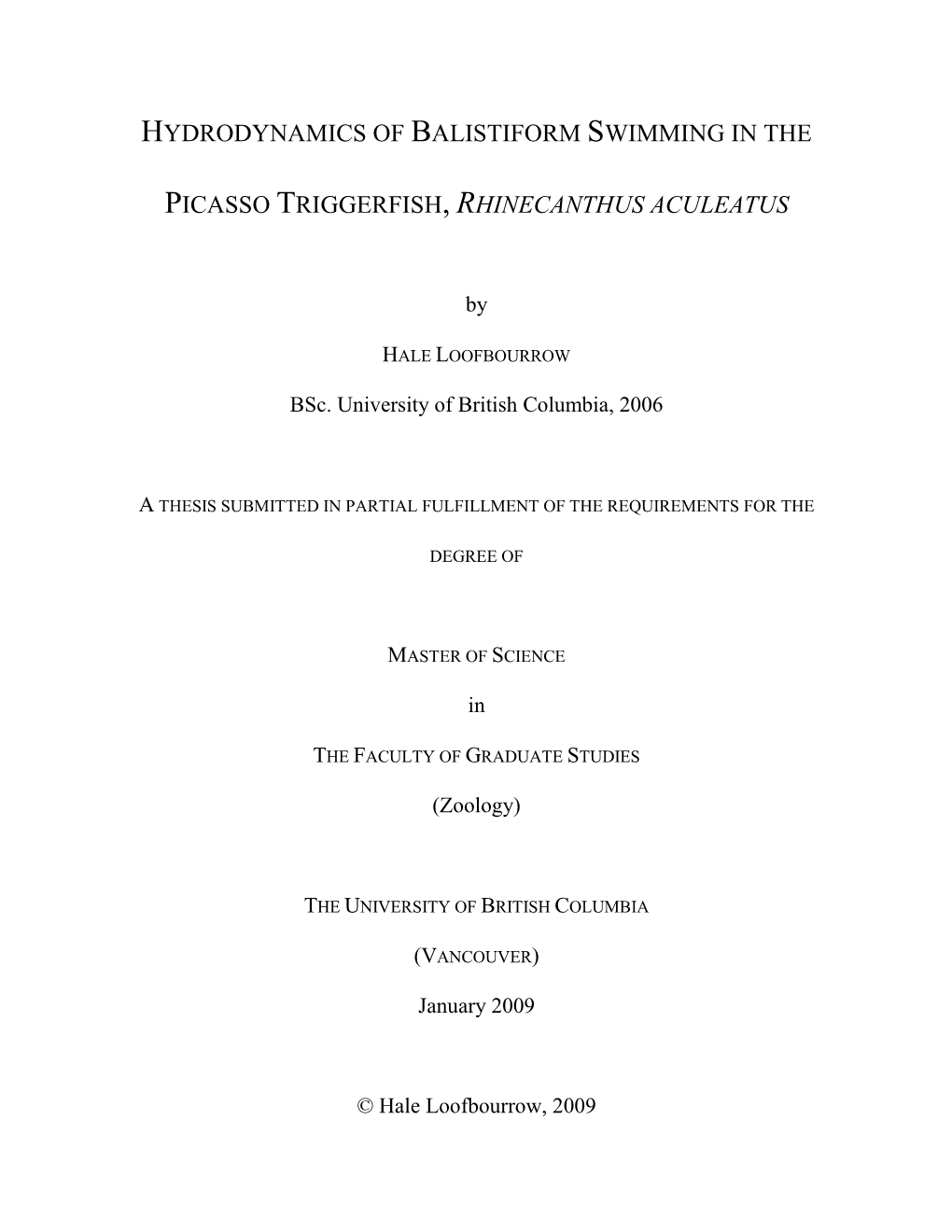 Hydrodynamics of Balistiform Swimming in the Picasso