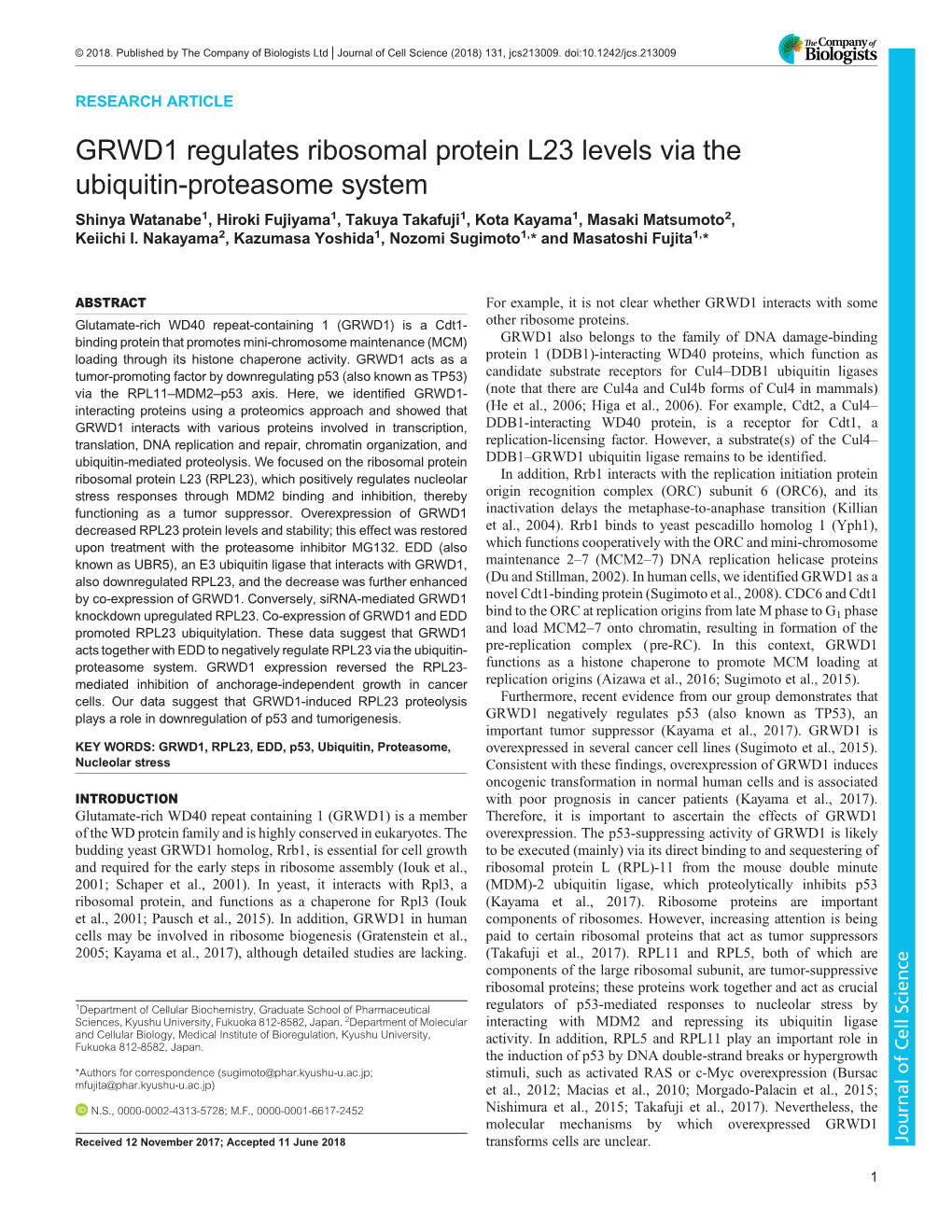 GRWD1 Regulates Ribosomal Protein L23 Levels Via the Ubiquitin
