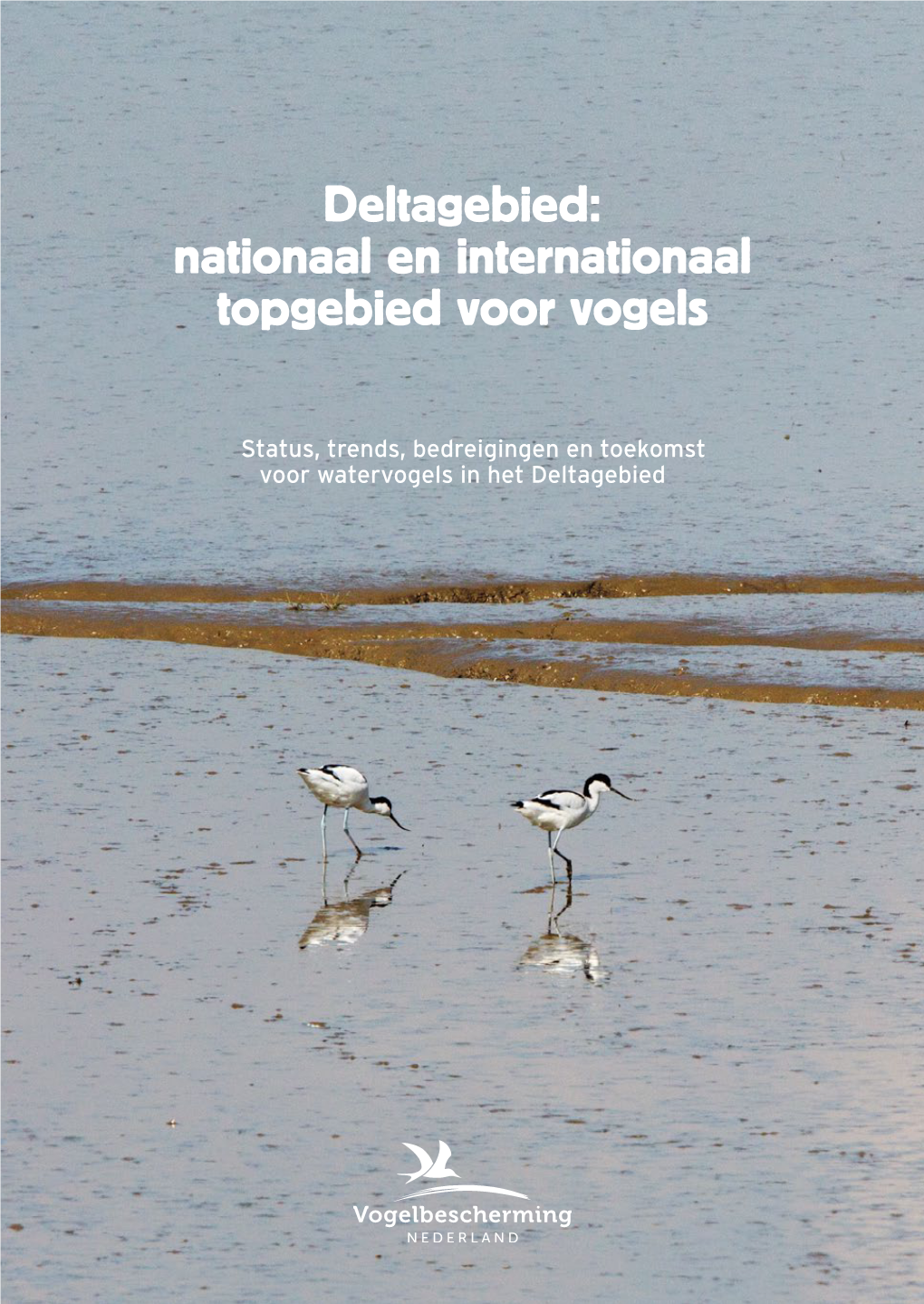 Deltagebied: Nationaal En Internationaal Topgebied Voor Vogels
