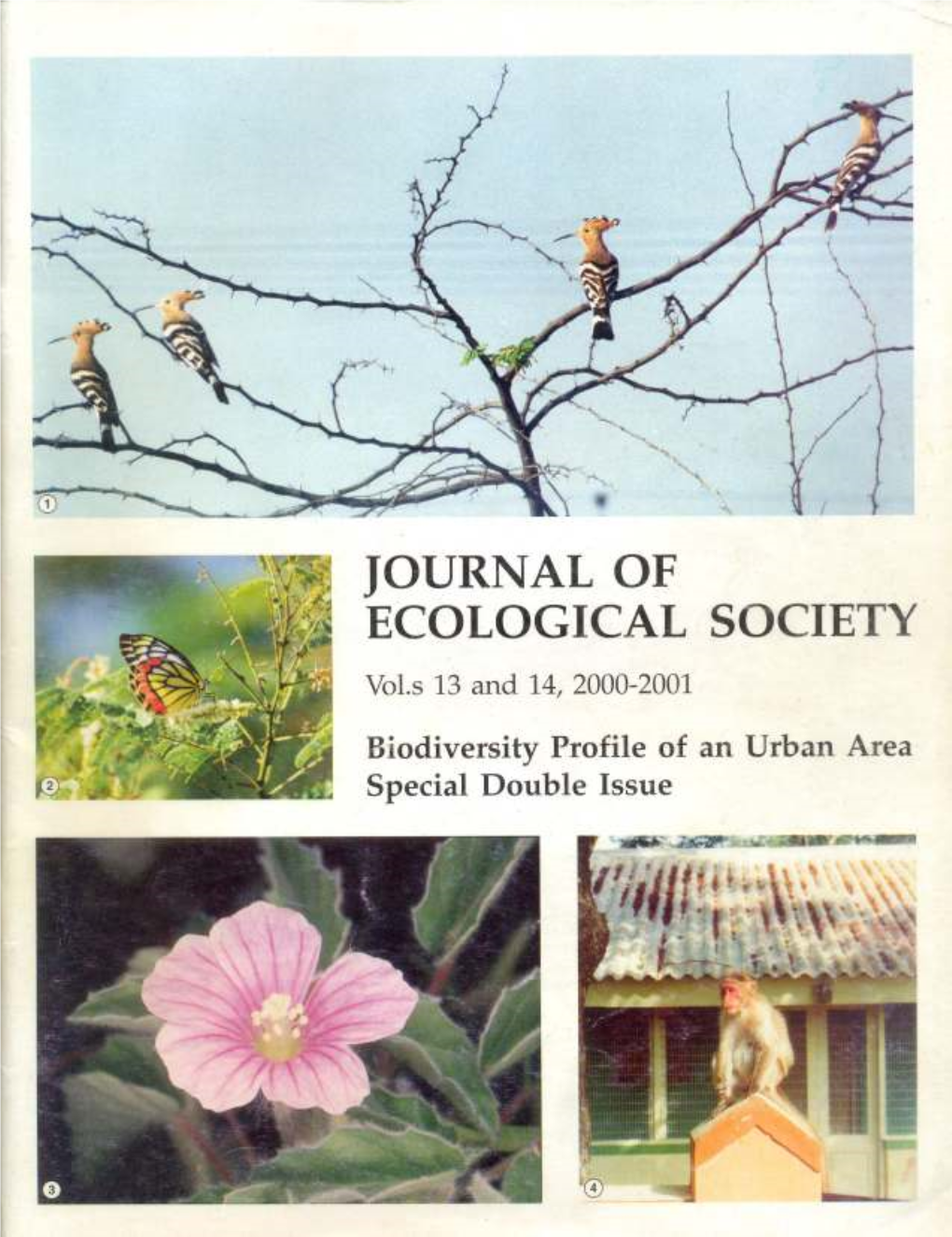 Pune Urban Biodiversity-A Case of Millennium