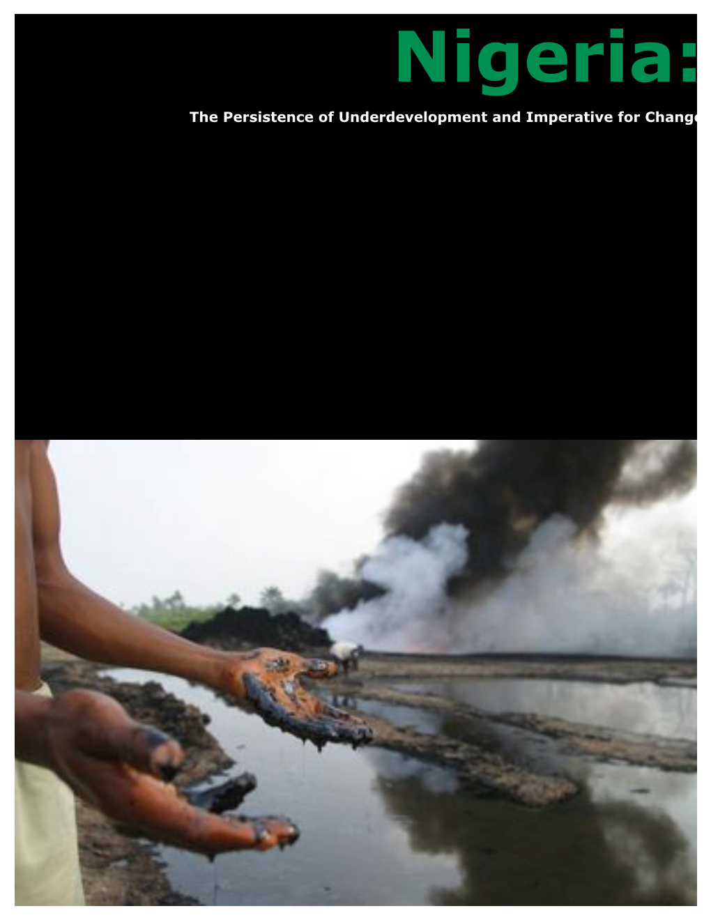 Nigeria Background Report.Pdf