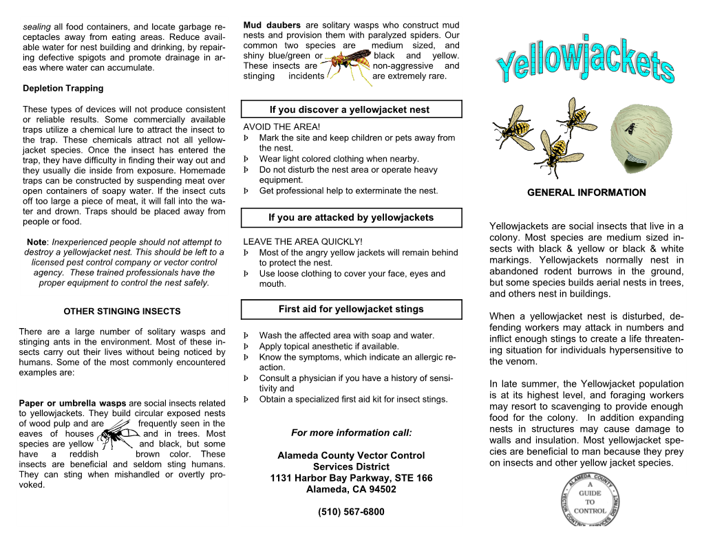 Yellow Jackets Will Remain Behind Sects with Black & Yellow Or Black & White Licensed Pest Control Company Or Vector Control to Protect the Nest