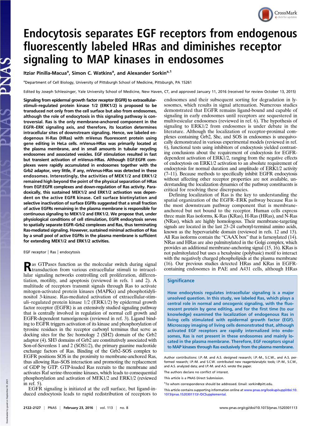 Endocytosis Separates EGF Receptors from Endogenous Fluorescently Labeled Hras and Diminishes Receptor Signaling to MAP Kinases in Endosomes