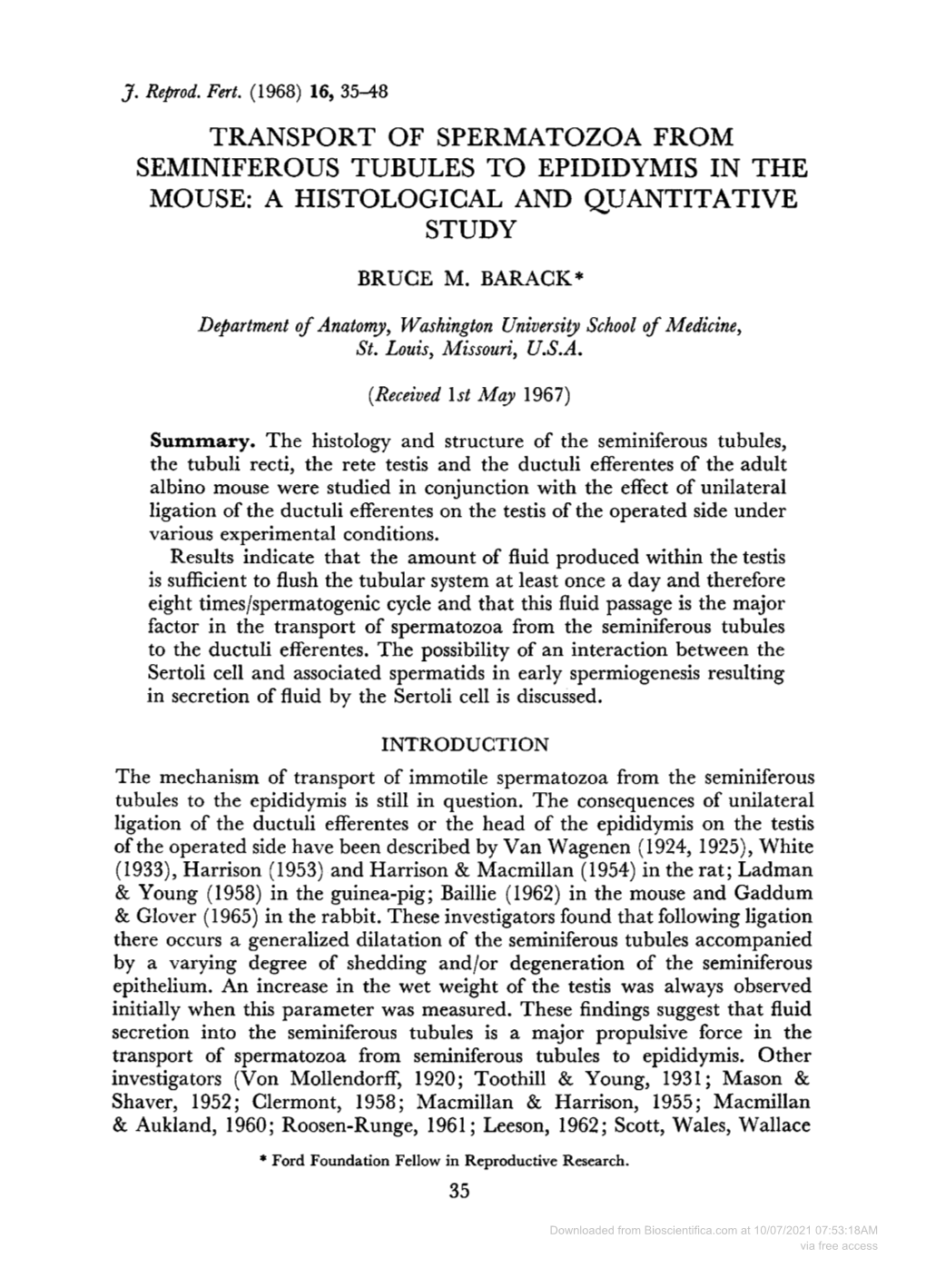 Seminiferous Tubules to Epididymis in the Mouse: a Histological and Quantitative Study