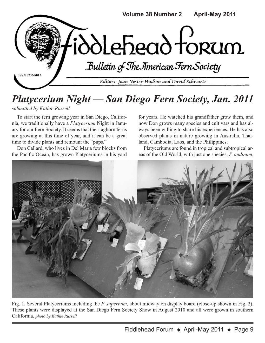 Platycerium Night — San Diego Fern Society, Jan. 2011 Submitted by Kathie Russell to Start the Fern Growing Year in San Diego, Califor- for Years