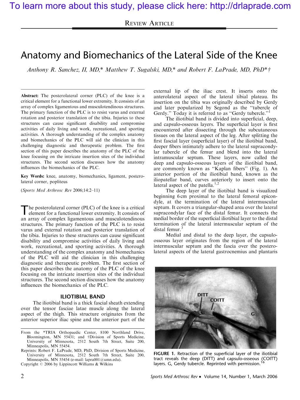 Anatomy and Biomechanics of the Lateral Side of the Knee