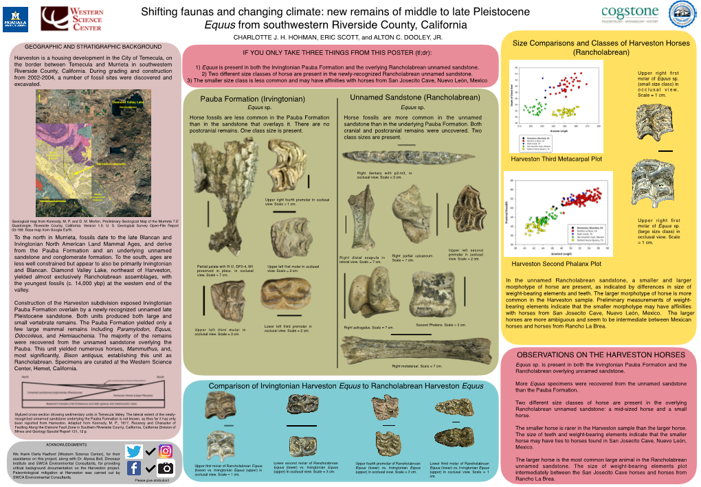 Shifting Faunas and Changing Climate: New Remains of Middle to Late Pleistocene Equusfrom Southwestern Riverside County, California CHARLOTTE J
