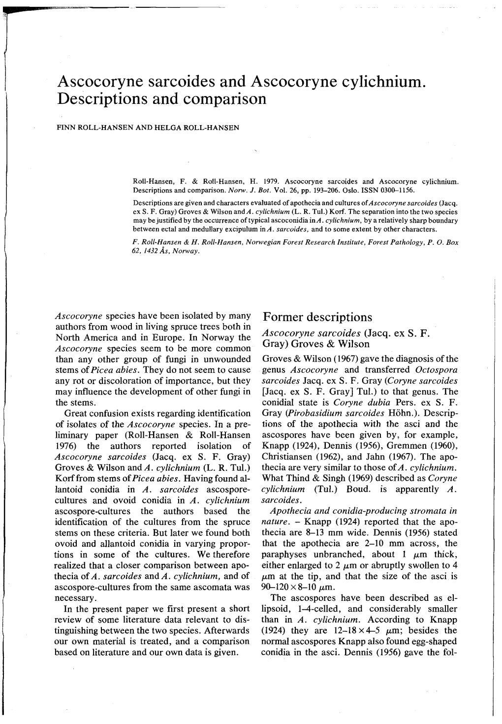 Ascocoryne Sarcoides and Ascocoryne Cylichnium