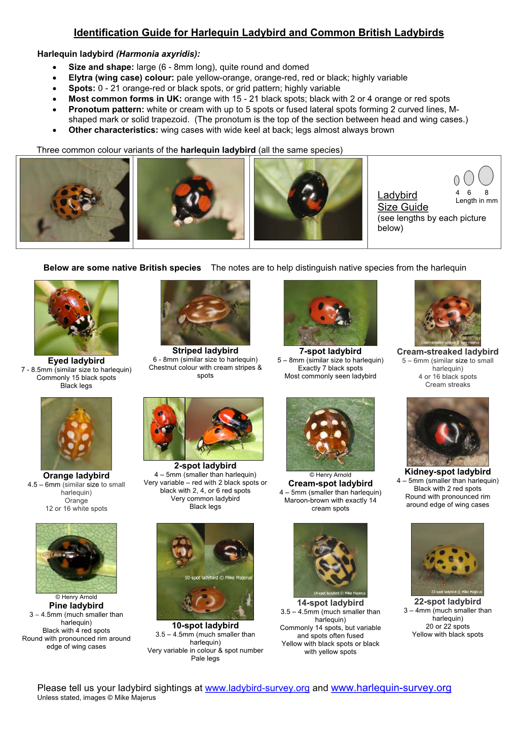 Ladybird Identification Sheet