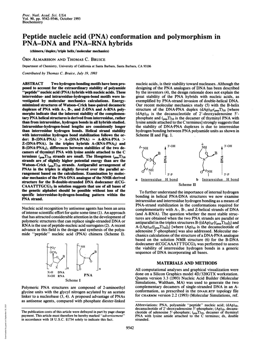 Conformation and Polymorphism in PNA-DNA and PNA-RNA Hybrids (Chimera/Duplex/Triple Helix/Molecular Mechanics)