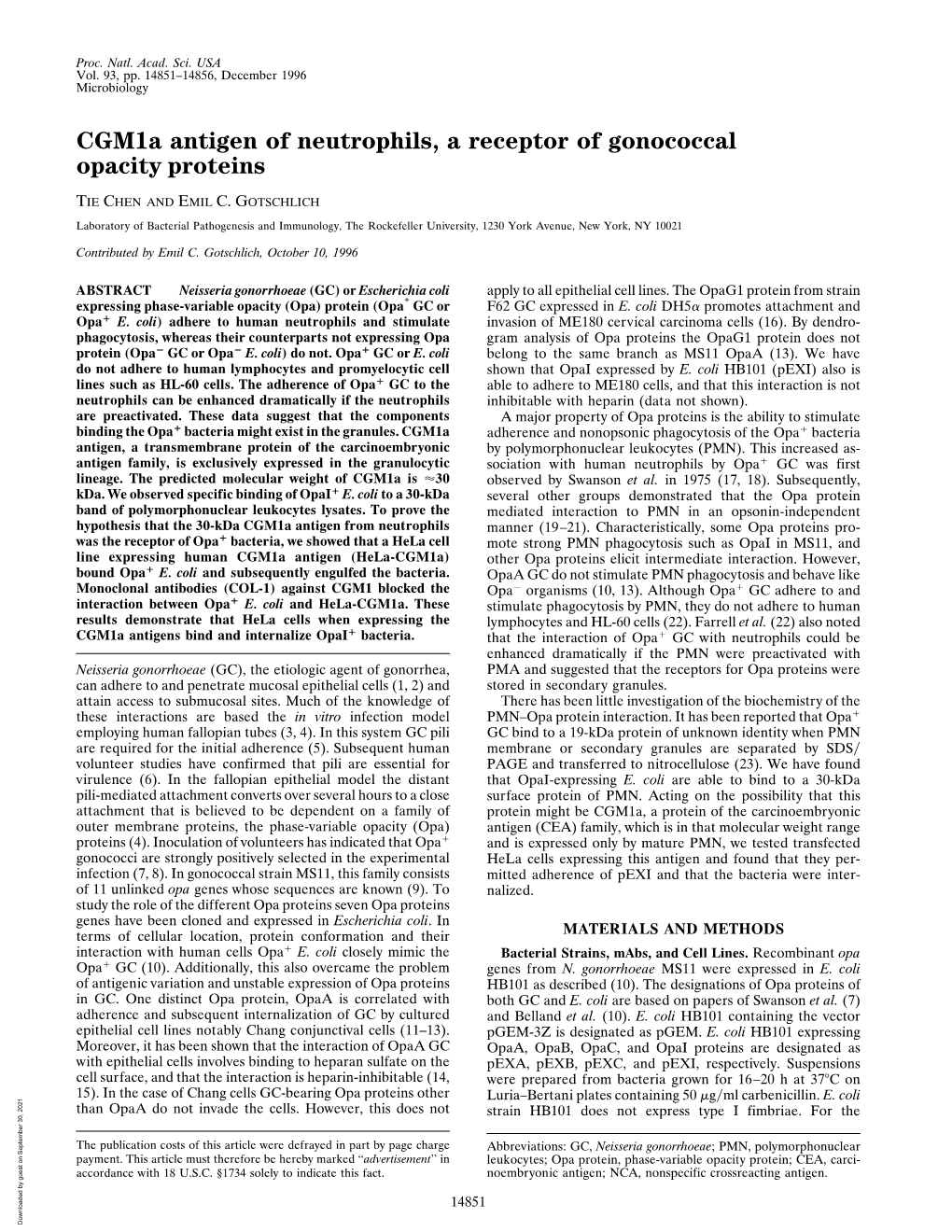 Cgm1a Antigen of Neutrophils, a Receptor of Gonococcal Opacity Proteins