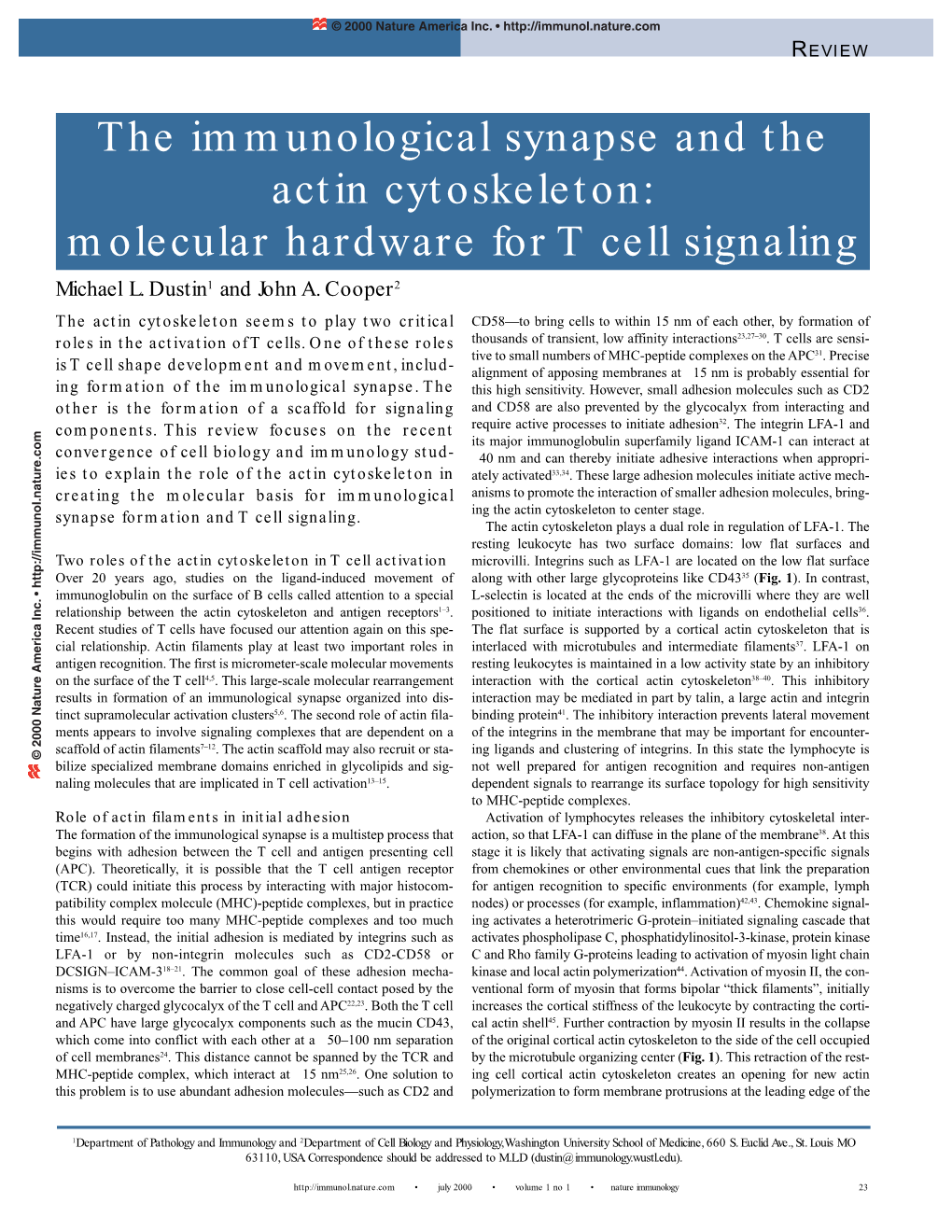 The Immunological Synapse and the Actin Cytoskeleton: Molecular Hardware for T Cell Signaling Michael L