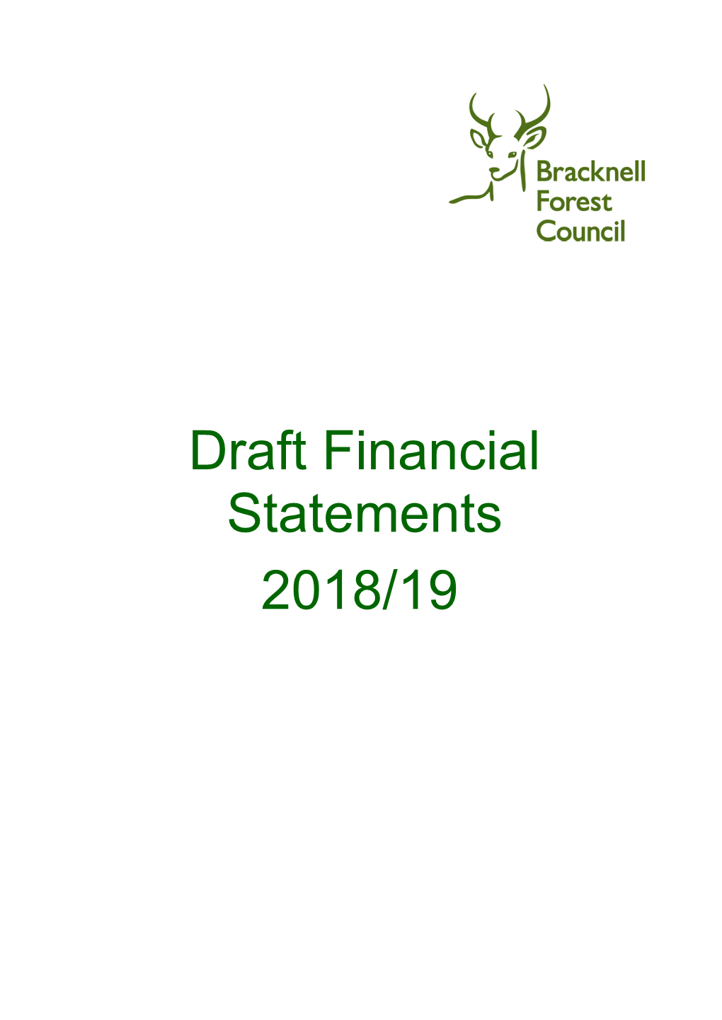 Draft Financial Statements 2018/19