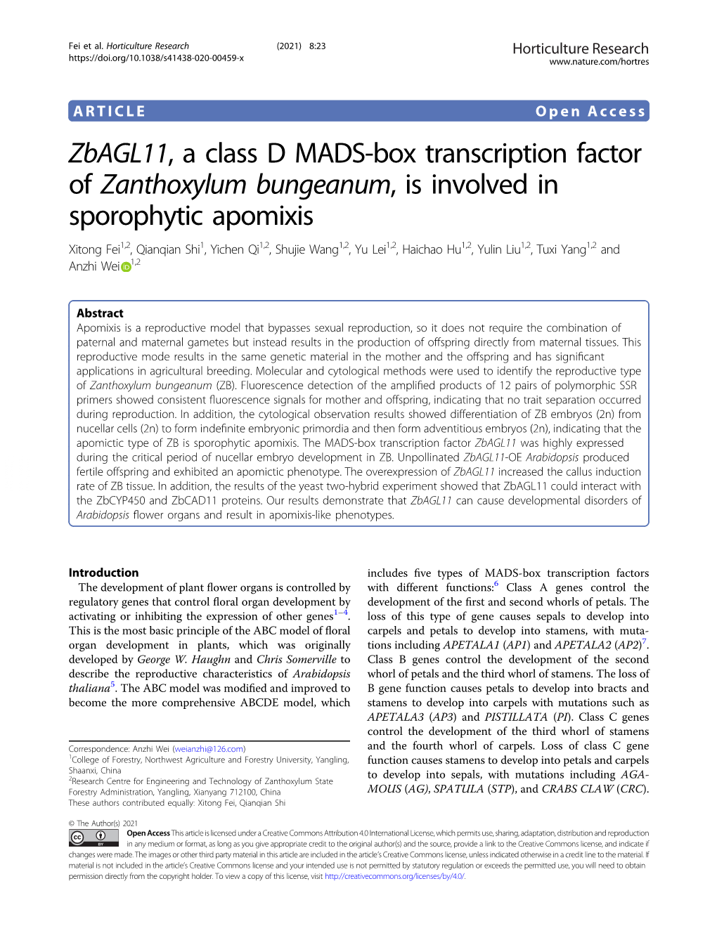 Zbagl11, a Class D MADS-Box Transcription Factor of Zanthoxylum Bungeanum, Is Involved in Sporophytic Apomixis