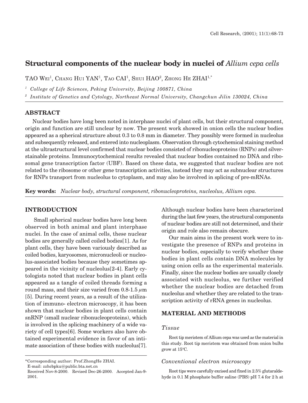 Structural Components of the Nuclear Body in Nuclei of Allium Cepa Cells