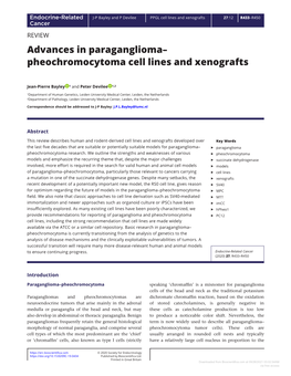 Advances in Paraganglioma– Pheochromocytoma Cell Lines and Xenografts