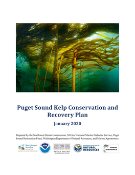 Puget Sound Kelp Conservation and Recovery Plan January 2020