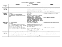 Amhsi Adult Journey to Israel