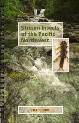 Stream Insects of the Pacific Northwest