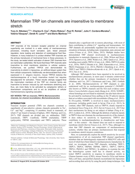 Mammalian TRP Ion Channels Are Insensitive to Membrane Stretch Yury A