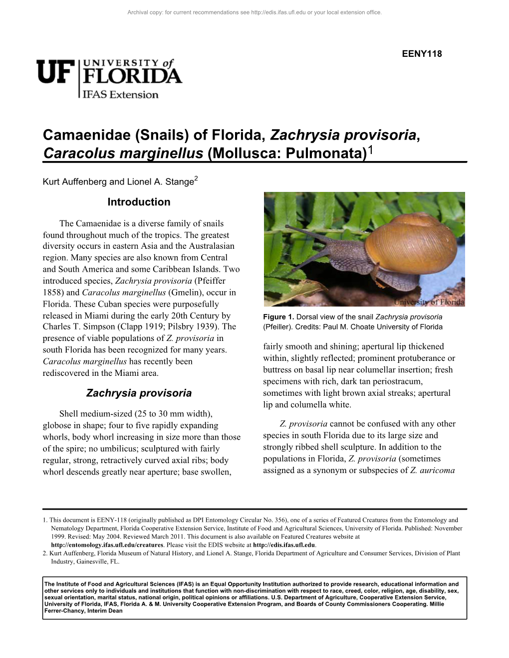 Camaenidae Snails Of Florida Zachrysia Provisoria Caracolus