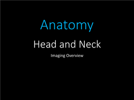 Head and Neck Anatomy