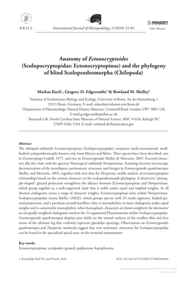 Anatomy of &lt;I&gt;Ectonocryptoides&lt;/I&gt; (Scolopocryptopidae: Ectonocryptopinae) and the Phylogeny of Blind Scolopendromor