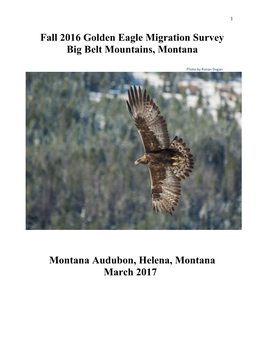 Fall 2016 Golden Eagle Migration Survey Big Belt Mountains, Montana