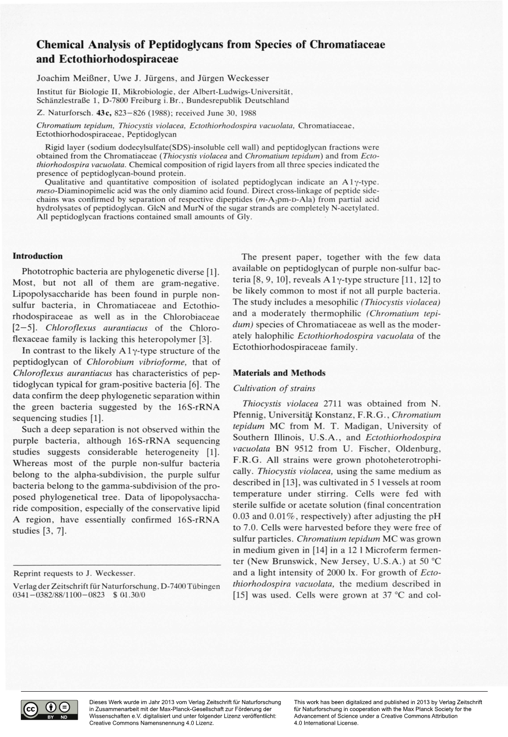 Chemical Analysis of Peptidoglycans from Species of Chromatiaceae and Ectothiorhodospiraceae