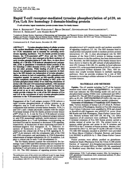 Fyn/Lck Src Homology 3 Domain-Binding Protein (T-Celil Actvation/Signal Transduction/Protein-Tyrws Kna/Src-Famfly Kinases) KRIS A