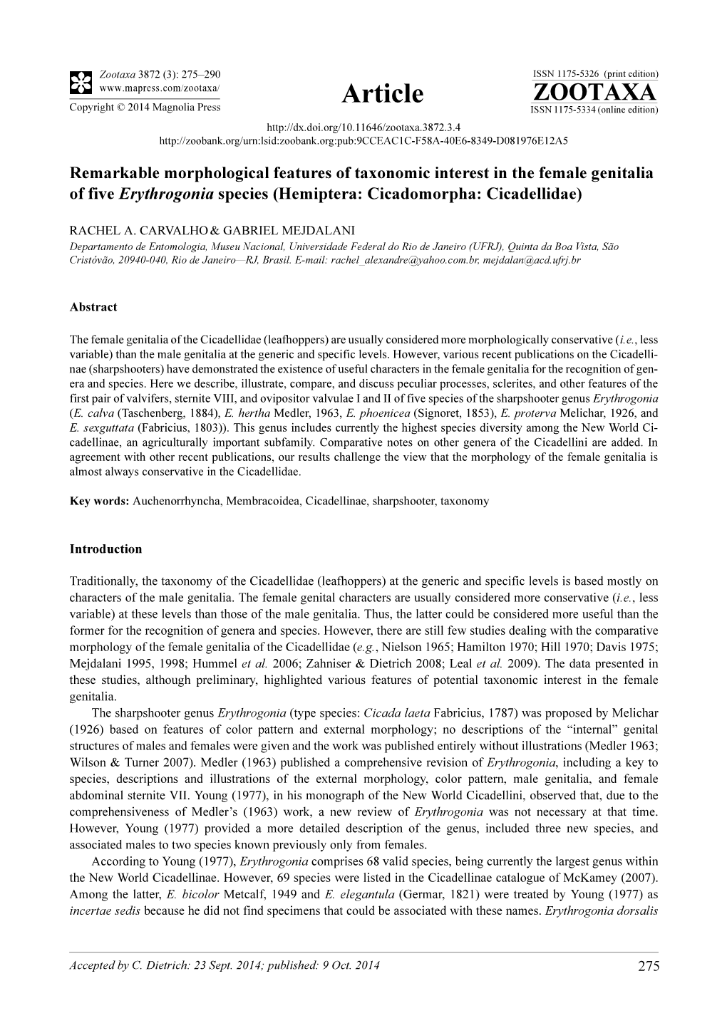 Remarkable Morphological Features of Taxonomic Interest in the Female Genitalia of Five Erythrogonia Species (Hemiptera: Cicadomorpha: Cicadellidae)