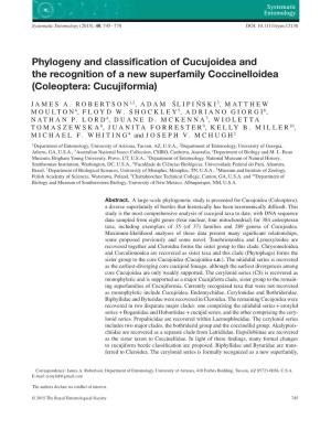 Phylogeny and Classification of Cucujoidea and the Recognition of A