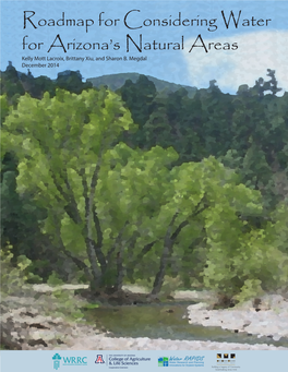 Roadmap for Considering Water for Arizona's Natural Areas