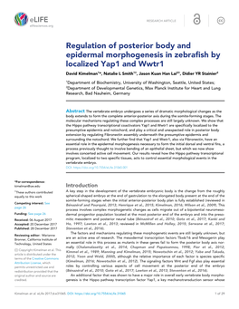 Regulation of Posterior Body and Epidermal Morphogenesis In