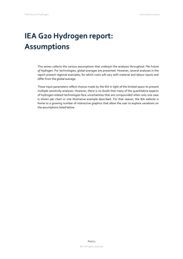 IEA G20 Hydrogen Report: Assumptions