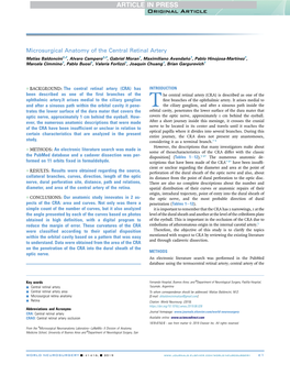 Microsurgical Anatomy of the Central Retinal Artery