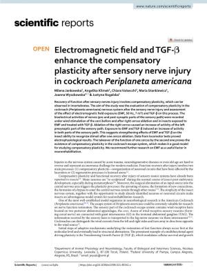 Electromagnetic Field and TGF-Β Enhance the Compensatory