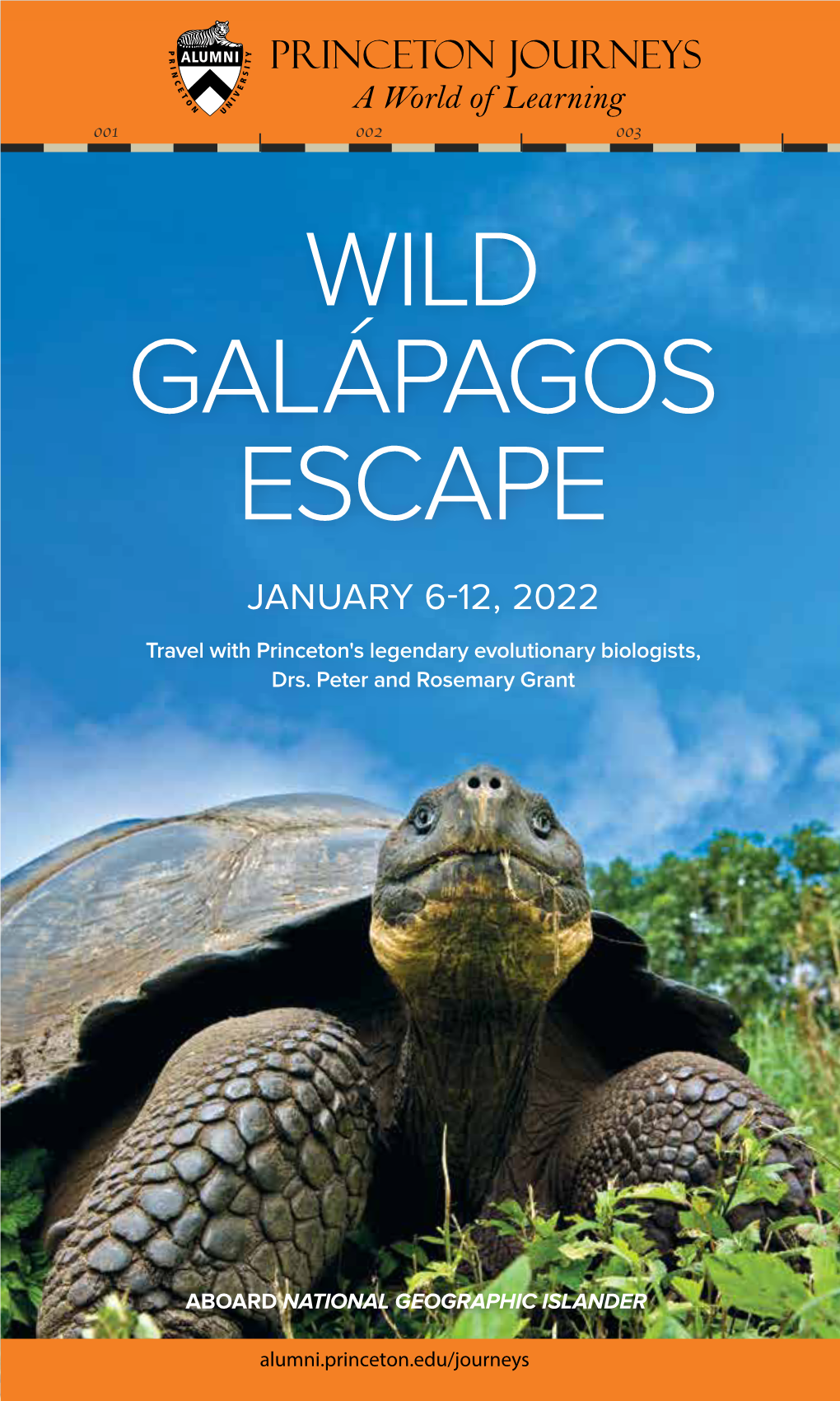 Wild Galápagos Escape January 6-12, 2022