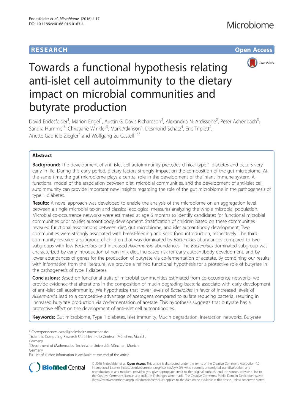 Towards a Functional Hypothesis Relating Anti-Islet Cell Autoimmunity