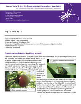 Kansas Insect Newsletter