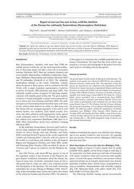 Report of One Rare Bee New to Iran, with the Checklist of the Persian Bee Subfamily Nomioidinae (Hymenoptera: Halictidae)