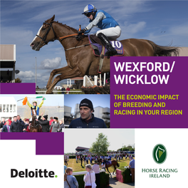 Wexford/ Wicklow