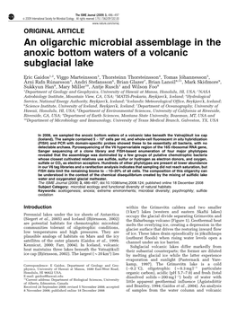 An Oligarchic Microbial Assemblage in the Anoxic Bottom Waters of a Volcanic Subglacial Lake