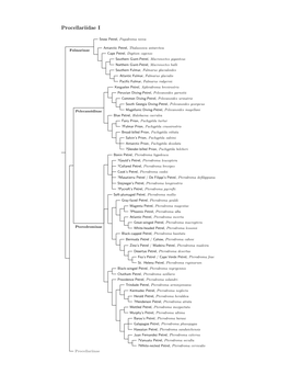 Procellariidae Species Tree