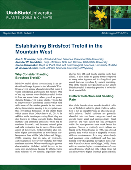 Establishing Birdsfoot Trefoil in the Mountain West