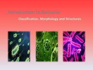 Introduction to Bacteria: Classification, Morphology and Structures