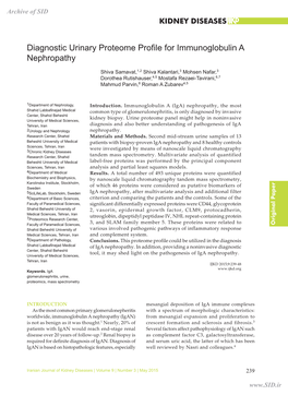 Diagnostic Urinary Proteome Profile for Immunoglobulin a Nephropathy