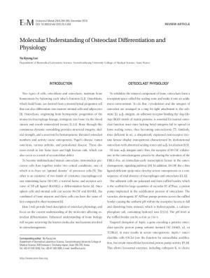 Molecular Understanding of Osteoclast Differentiation and Physiology