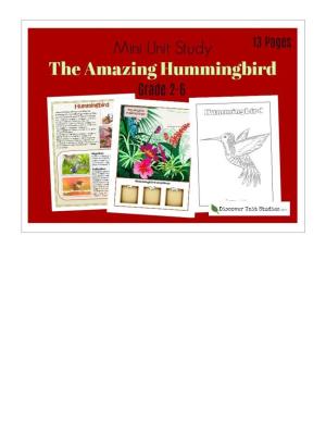 Hummingbirds Is from My Rainforests of the World Science Curriculum Set
