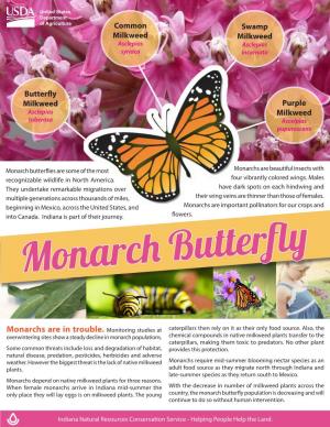 Monarch Butterfly Factsheet